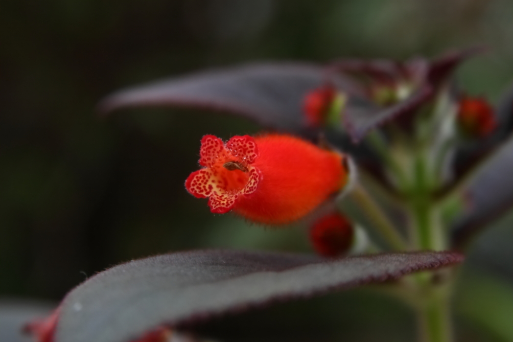 2013 02 23 IMG 6006